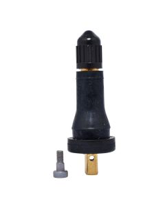 DILVS-20-25 image(0) - TPMS SNAP-IN VALVE 25-PACK