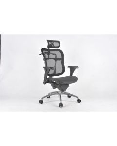 LDS1010462 image(0) - LDS (ShopSol) Executive Chair - Mesh seat/back